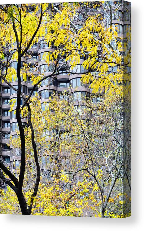 Nature Canvas Print featuring the photograph Late Autumn - A Murray Hill Impression by Steve Ember