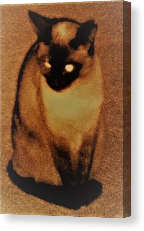 More Precious Than Canvas Print featuring the photograph Le Chat d'Or by Francesca Schomberg