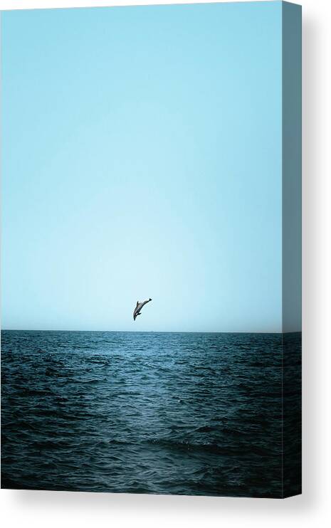 Dolphin Canvas Print featuring the photograph Leaps of Joy by Sina Ritter