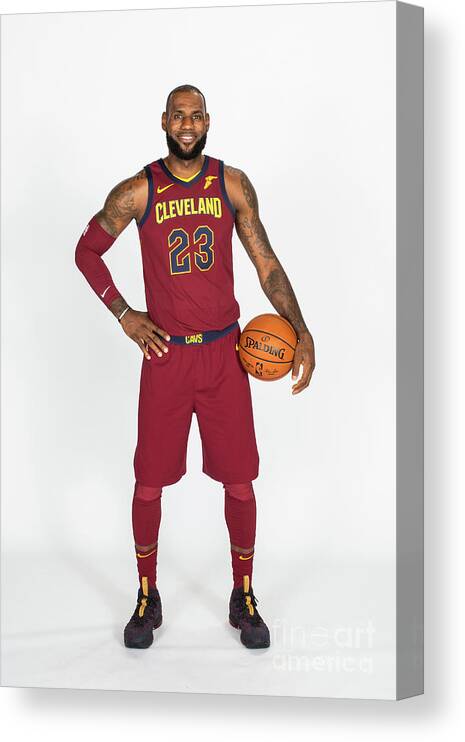 Media Day Canvas Print featuring the photograph Lebron James by Michael J. Lebrecht Ii