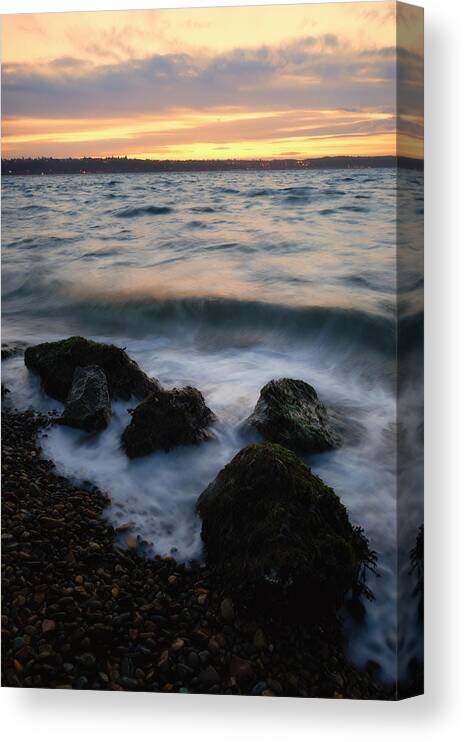 Puget Sound Canvas Print featuring the photograph Life on the Rocks by Ryan Manuel