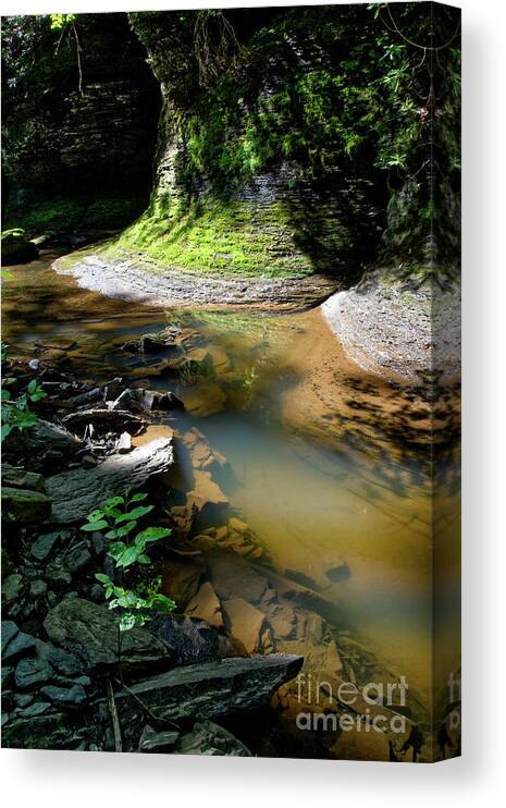 Little Piney Creek Canvas Print featuring the photograph Little Piney Creek 2 by Phil Perkins