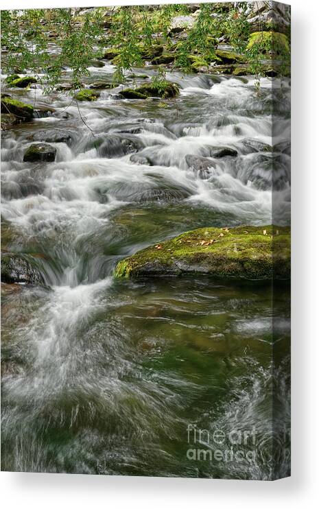 Smokies Canvas Print featuring the photograph Little River 4 by Phil Perkins