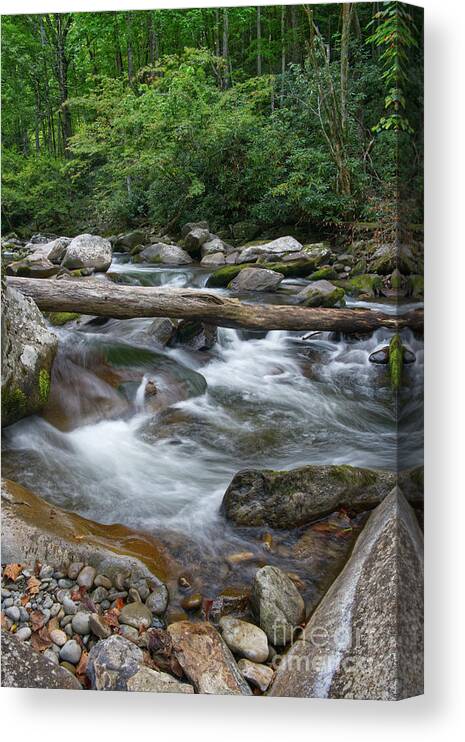 Smokies Canvas Print featuring the photograph Little River 5 by Phil Perkins