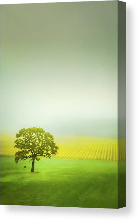 Autumn Canvas Print featuring the photograph Lone Oak in the Vineyard by Don Schwartz