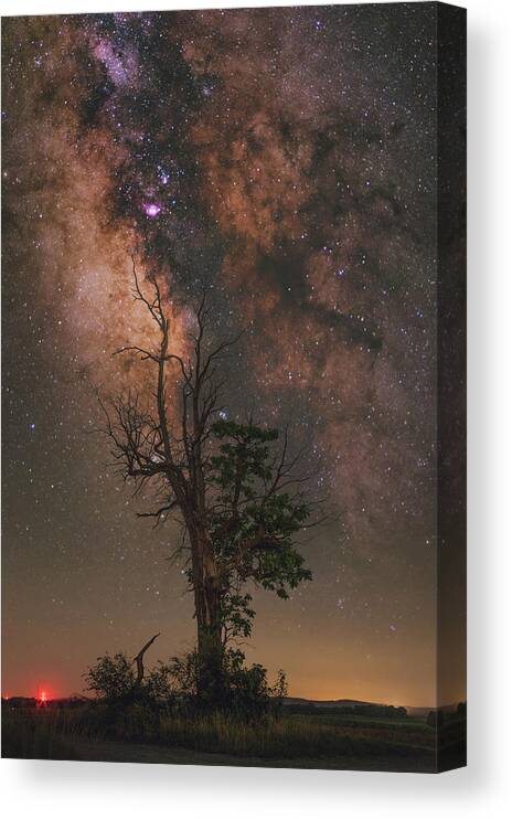 Nightscape Canvas Print featuring the photograph Lone Tree by Grant Twiss