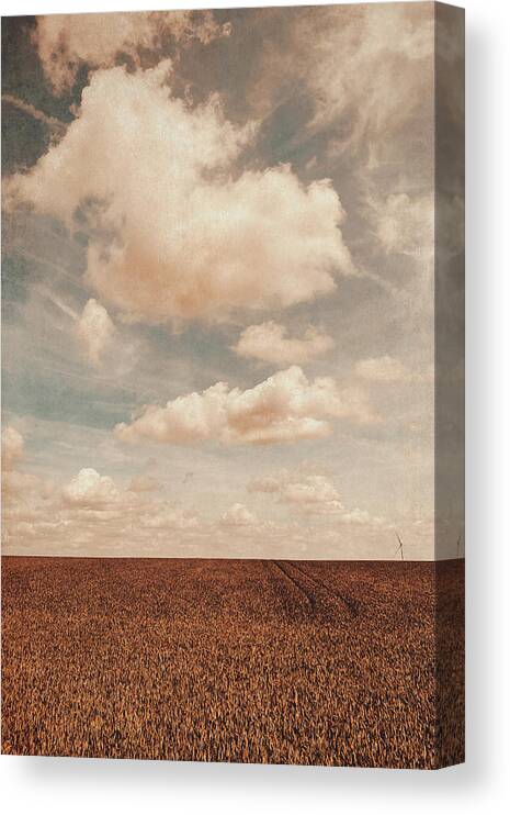 Land Canvas Print featuring the photograph Loneliness by Yasmina Baggili
