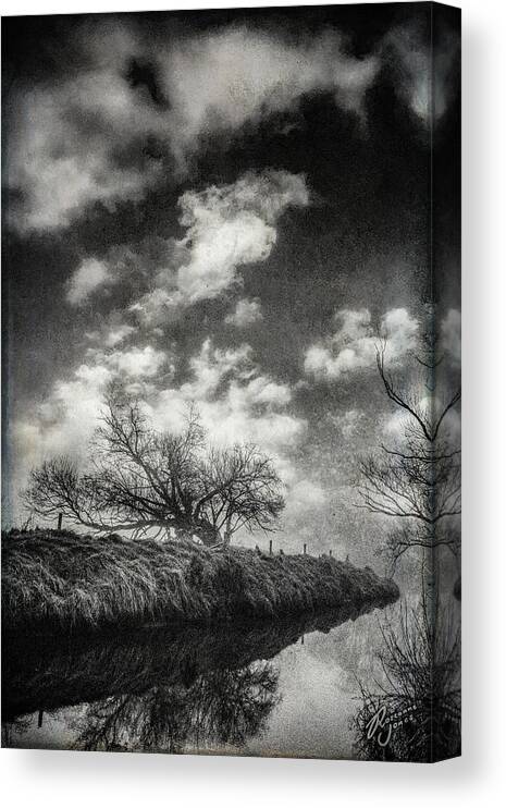 Tree Canvas Print featuring the photograph Lost Time by Roseanne Jones