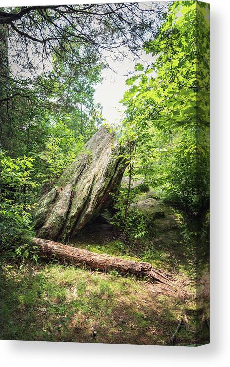 Landscape Canvas Print featuring the photograph Lusk Creek Boulder by Grant Twiss