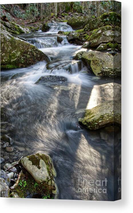 Middle Prong Trail Canvas Print featuring the photograph Lynn Camp Prong by Phil Perkins