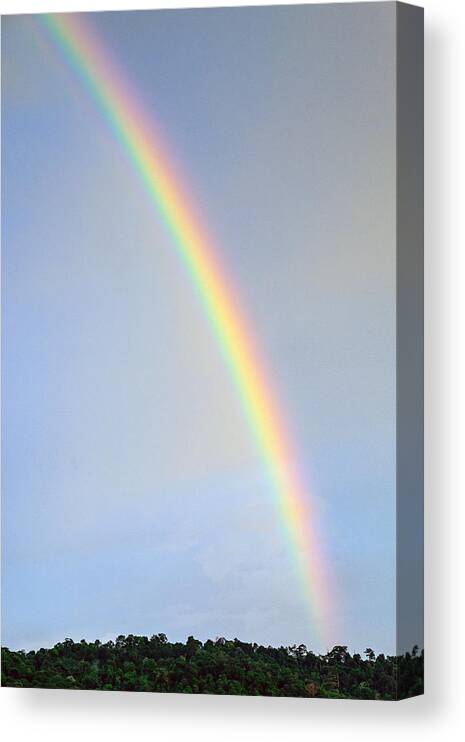 Tropical Rainforest Canvas Print featuring the photograph Majestic view of rainbow over rain forest. by Shaifulzamri