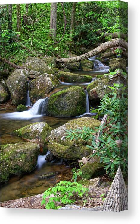 Margarette Falls Canvas Print featuring the photograph Margarette Falls 20 by Phil Perkins