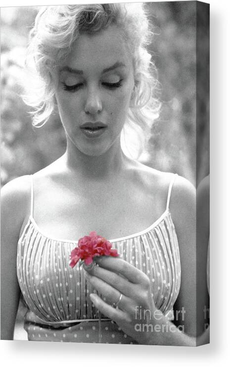 Marilyn Monroe Pink Portrait Canvas Print Framed Movie Icon Wall Art Picture 