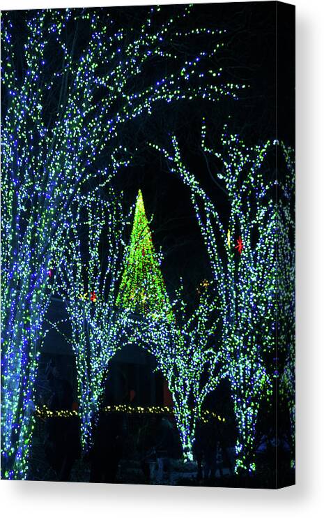 Christmas Canvas Print featuring the photograph May Your Days Be Merry and Bright by Mary Ann Artz