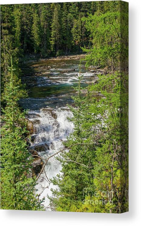 Glacier National Park Canvas Print featuring the photograph McDonald Falls in Glacier National Park #1 by Nancy Gleason