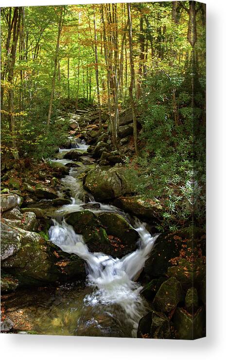 Creek Canvas Print featuring the photograph Middle Prong by Gina Fitzhugh