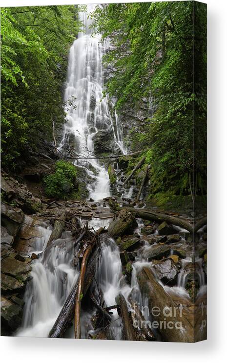 Mingo Fall Canvas Print featuring the photograph Mingo Falls 1 by Phil Perkins