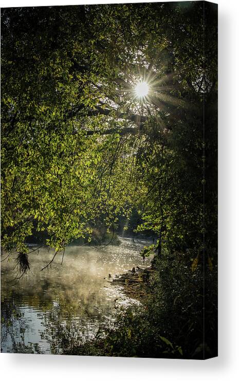 Natural Canvas Print featuring the photograph Misty Morning by Kim Sowa