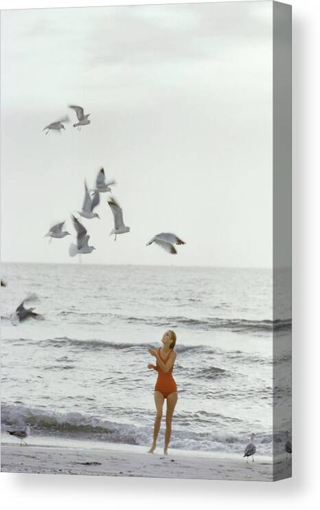 Fashion Canvas Print featuring the photograph Model on the Beach in a Jantzen Bathing Suit by Bert Stern