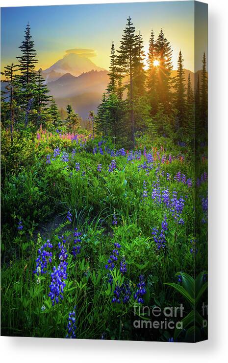 America Canvas Print featuring the photograph Mount Rainier Sunburst by Inge Johnsson