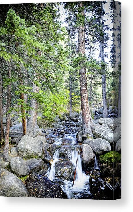 Nature Canvas Print featuring the photograph Mountain River Serenity by Lincoln Rogers
