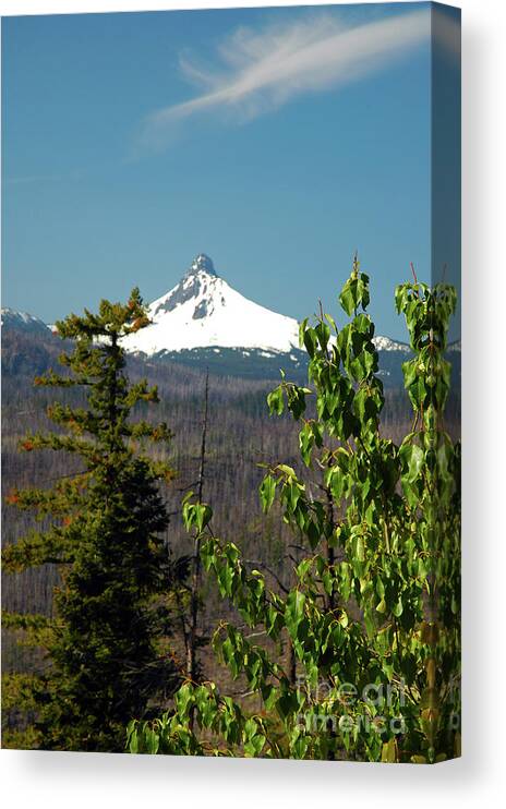 Mt. Washington Canvas Print featuring the photograph Mt. Washington by Cindy Murphy