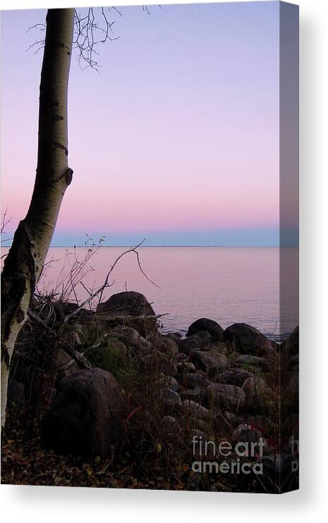 Canada Canvas Print featuring the photograph Mulberry Haze by Mary Mikawoz