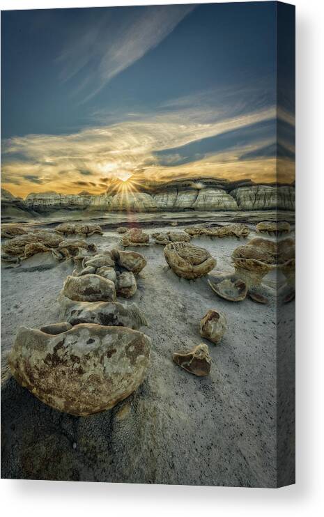 Natures Treasure Canvas Print featuring the photograph Natures Treasure by George Buxbaum