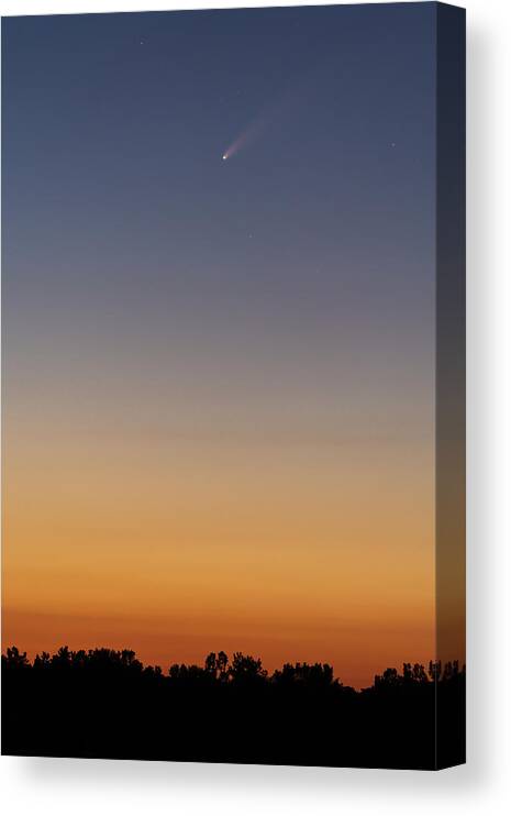 Comet Canvas Print featuring the photograph Neowise Horizon by Arthur Oleary
