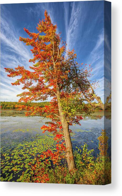 New Hampshire Lakes Region Canvas Print featuring the photograph New Hampshire Lakes Region Fall Colors by Juergen Roth