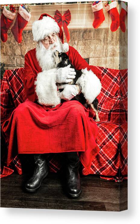 Newt Canvas Print featuring the photograph Newt with Santa 1 by Christopher Holmes