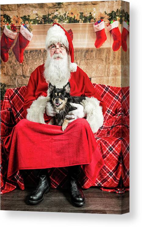 Newt Canvas Print featuring the photograph Newt With Santa 2 by Christopher Holmes