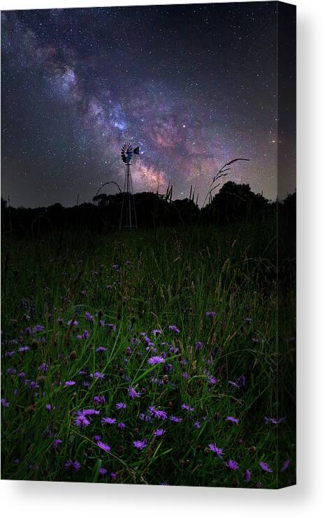 Wildflowers Canvas Print featuring the photograph Night Blooms by Bill Wakeley