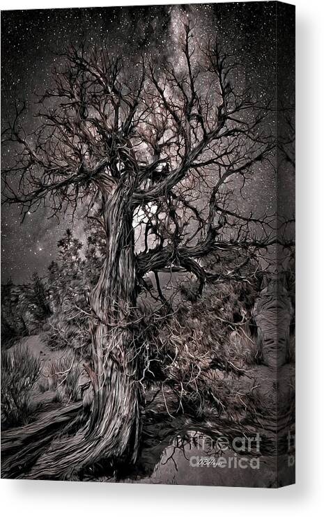 Trees Canvas Print featuring the mixed media Night Life by DB Hayes