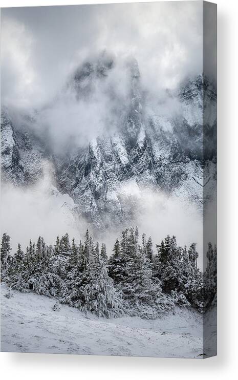 North Canvas Print featuring the photograph North Cascades Foggy Winter Wonderland by Ryan McGinnis