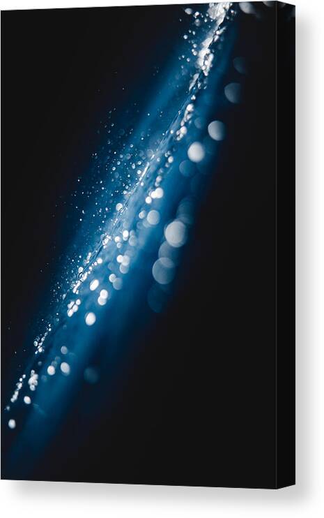 Ocean Canvas Print featuring the photograph Ocean's Milky Way by Sina Ritter
