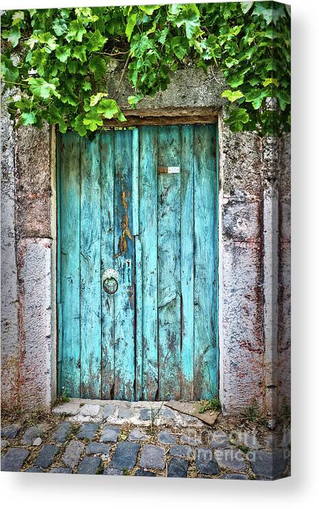 Blue Canvas Print featuring the photograph Old blue door with vine by Delphimages Photo Creations