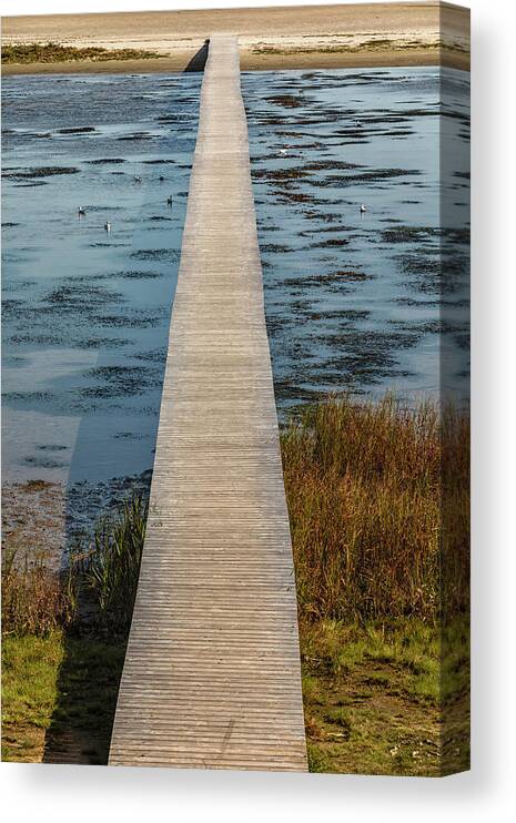 Bridge Canvas Print featuring the photograph On the other side by Mike Santis