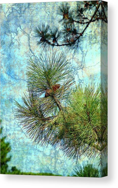 Pine Cone Canvas Print featuring the photograph Painterly Pine Cone and Branch by Cate Franklyn