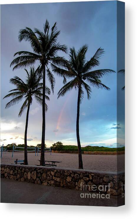 Rainbow Canvas Print featuring the photograph Palm Tree Rainbow, South Beach, Miami, Florida by Beachtown Views