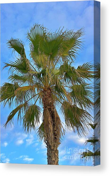 Andalusia .andalucia Canvas Print featuring the photograph Palm Tree by Yvonne M Smith