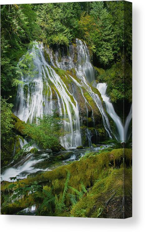 Waterfall Canvas Print featuring the photograph Panther Creek Falls, Oregon by Oscar Gutierrez