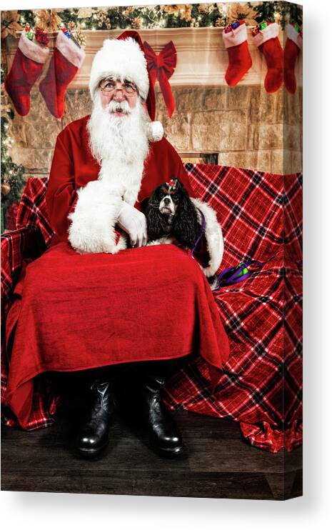 Peppermint Canvas Print featuring the photograph Peppermint with Santa 2 by Christopher Holmes