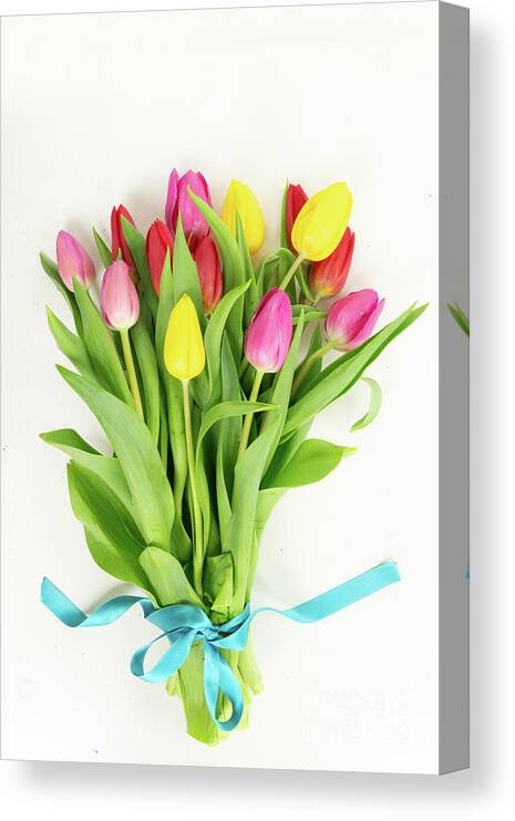 Easter Canvas Print featuring the photograph Pink, yeelow and violet tulips flowers by Anastasy Yarmolovich