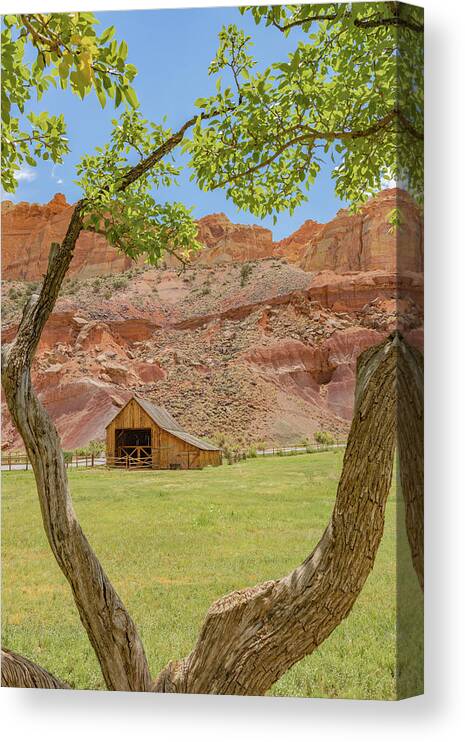 Ige08680 Canvas Print featuring the photograph Pioneer Barnyard by Gordon Elwell