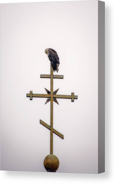 Praying Canvas Print featuring the photograph Praying Eagle by Robert J Wagner