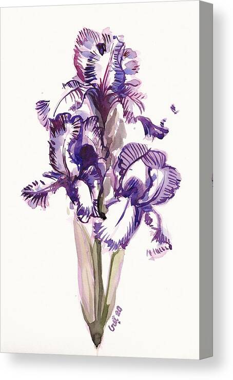 Iris Canvas Print featuring the painting Purple Iris by George Cret