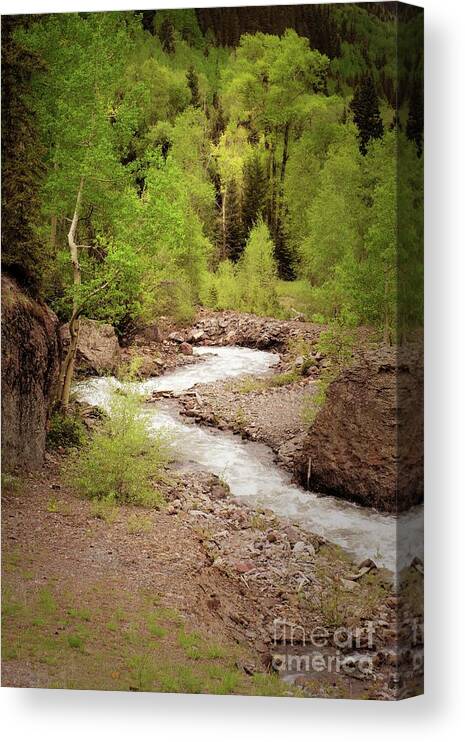 Raging Creek Canvas Print featuring the photograph Raging Creek by Imagery by Charly