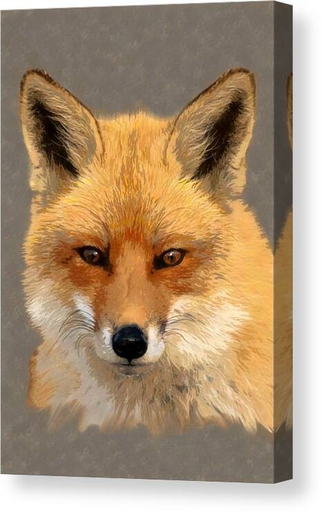 Nature Canvas Print featuring the mixed media Red Fox by Judy Cuddehe