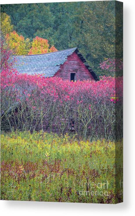 Autumn Canvas Print featuring the photograph Red Shed and Sumac by Trey Foerster
